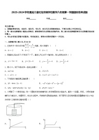 2023-2024学年黑龙江省红光农场学校数学八年级第一学期期末统考试题含答案