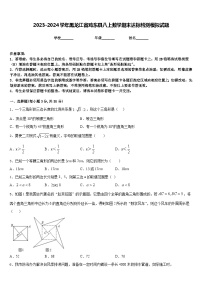 2023-2024学年黑龙江省鸡东县八上数学期末达标检测模拟试题含答案