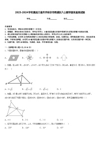 2023-2024学年黑龙江省齐齐哈尔市昂溪区八上数学期末监测试题含答案