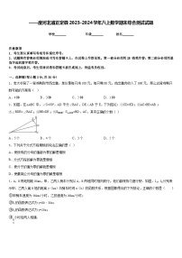 ——度河北省正定县2023-2024学年八上数学期末综合测试试题含答案