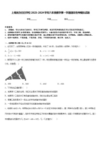 上海民办日日学校2023-2024学年八年级数学第一学期期末统考模拟试题含答案