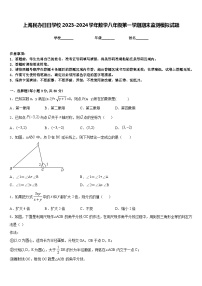 上海民办日日学校2023-2024学年数学八年级第一学期期末监测模拟试题含答案