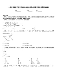 上海市黄浦区卢湾中学2023-2024学年八上数学期末经典模拟试题含答案