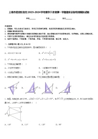 上海市嘉定区名校2023-2024学年数学八年级第一学期期末达标检测模拟试题含答案