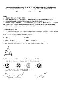 上海市嘉定区南翔镇怀少学校2023-2024学年八上数学期末复习检测模拟试题含答案