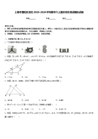 上海市普陀区名校2023-2024学年数学八上期末综合测试模拟试题含答案