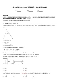 上海市金山区2023-2024学年数学八上期末复习检测试题含答案