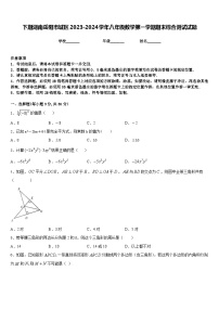 下期湖南岳阳市城区2023-2024学年八年级数学第一学期期末综合测试试题含答案