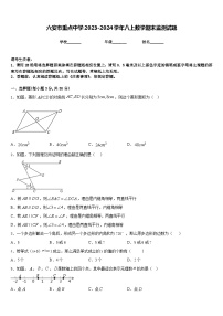 六安市重点中学2023-2024学年八上数学期末监测试题含答案