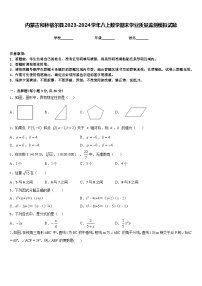 内蒙古和林格尔县2023-2024学年八上数学期末学业质量监测模拟试题含答案