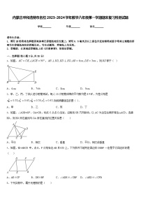 内蒙古呼和浩特市名校2023-2024学年数学八年级第一学期期末复习检测试题含答案