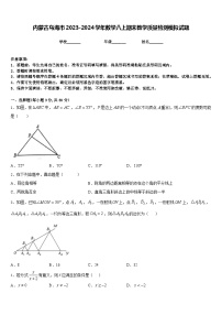 内蒙古乌海市2023-2024学年数学八上期末教学质量检测模拟试题含答案