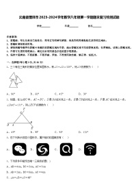 云南省普洱市2023-2024学年数学八年级第一学期期末复习检测试题含答案