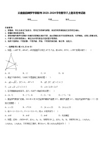 云南省曲靖罗平县联考2023-2024学年数学八上期末统考试题含答案