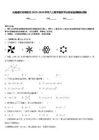 云南省红河州名校2023-2024学年八上数学期末学业质量监测模拟试题含答案