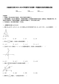 云南省红河州2023-2024学年数学八年级第一学期期末质量检测模拟试题含答案