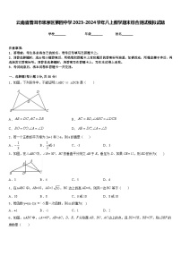 云南省普洱市思茅区第四中学2023-2024学年八上数学期末综合测试模拟试题含答案