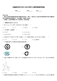 云南省红河市2023-2024学年八上数学期末联考试题含答案