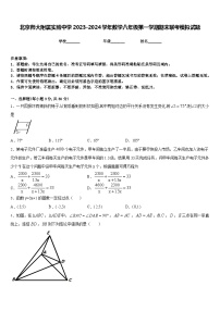 北京师大附属实验中学2023-2024学年数学八年级第一学期期末联考模拟试题含答案