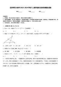 北京师范大附中2023-2024学年八上数学期末达标检测模拟试题含答案