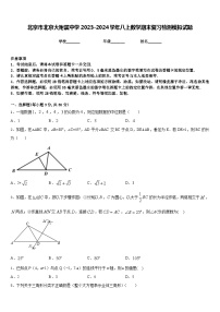 北京市北京大附属中学2023-2024学年八上数学期末复习检测模拟试题含答案