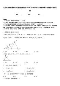 北京市昌平区北京人大附中昌平校区2023-2024学年八年级数学第一学期期末调研试题含答案