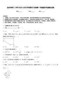 北京市第十二中学2023-2024学年数学八年级第一学期期末考试模拟试题含答案