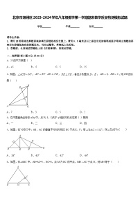 北京市通州区2023-2024学年八年级数学第一学期期末教学质量检测模拟试题含答案