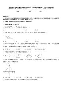 北京西城北师大附属实验中学2023-2024学年数学八上期末经典试题含答案