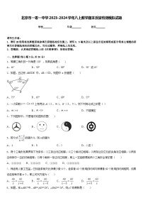 北京市一零一中学2023-2024学年八上数学期末质量检测模拟试题含答案