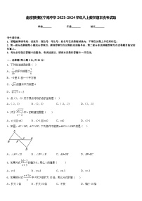 南京鼓楼区宁海中学2023-2024学年八上数学期末统考试题含答案