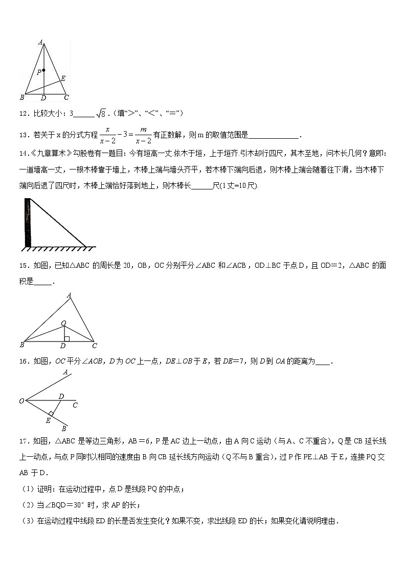 吉林省白山市名校2023-2024学年数学八年级第一学期期末复习检测模拟试题含答案第3页