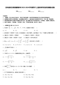 吉林省延边州安图县联考2023-2024学年数学八上期末教学质量检测模拟试题含答案