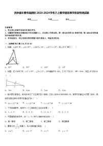 吉林省长春市高新区2023-2024学年八上数学期末教学质量检测试题含答案