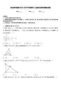 四川省平昌县2023-2024学年数学八上期末质量检测模拟试题含答案