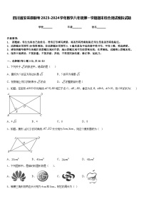 四川省安岳县联考2023-2024学年数学八年级第一学期期末综合测试模拟试题含答案