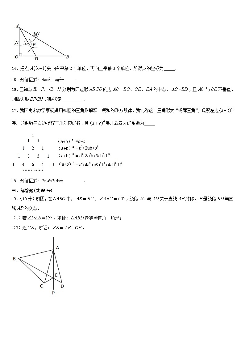 四川省大竹县2023-2024学年八上数学期末质量检测试题含答案第3页