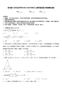 四川省广元市万达中学2023-2024学年八上数学期末复习检测模拟试题含答案