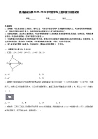 四川省威远县2023-2024学年数学八上期末复习检测试题含答案