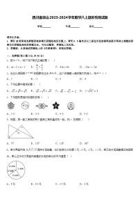 四川省凉山2023-2024学年数学八上期末检测试题含答案