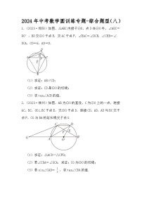 2024年中考数学圆训练专题-综合题型（八）（原卷+解析）