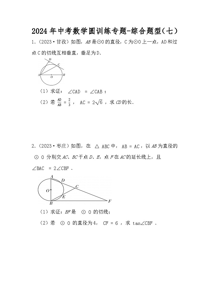 2024年中考数学圆训练专题-综合题型（七）（原卷+解析）01