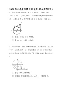 2024年中考数学圆训练专题-综合题型（五）（原卷+解析）