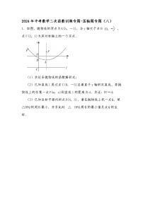 2024年中考数学二次函数训练专题-压轴题专题（八）（试题+解析）