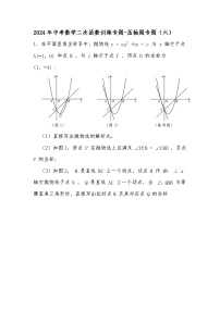 2024年中考数学二次函数训练专题-压轴题专题（六）（试题+解析）