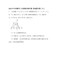 2024年中考数学二次函数训练专题-压轴题专题（七）（试题+解析）