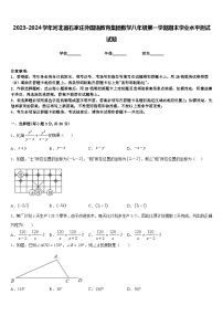 2023-2024学年河北省石家庄外国语教育集团数学八年级第一学期期末学业水平测试试题含答案