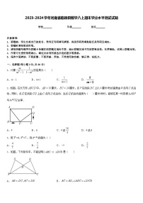 2023-2024学年河南省临颍县数学八上期末学业水平测试试题含答案