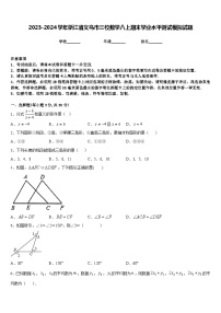 2023-2024学年浙江省义乌市三校数学八上期末学业水平测试模拟试题含答案