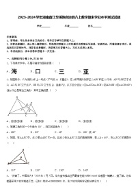 2023-2024学年湖南省江华瑶族自治县八上数学期末学业水平测试试题含答案